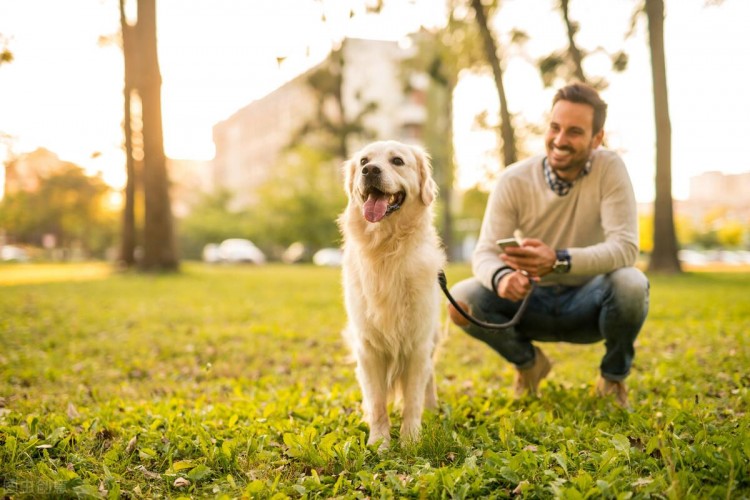 一只狗有这几种症状可能患上狂犬病了要留心