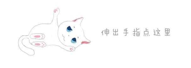 路边的一只橘猫瘫在椅子上，女人越看越觉得奇怪，靠近后买了一个瓜